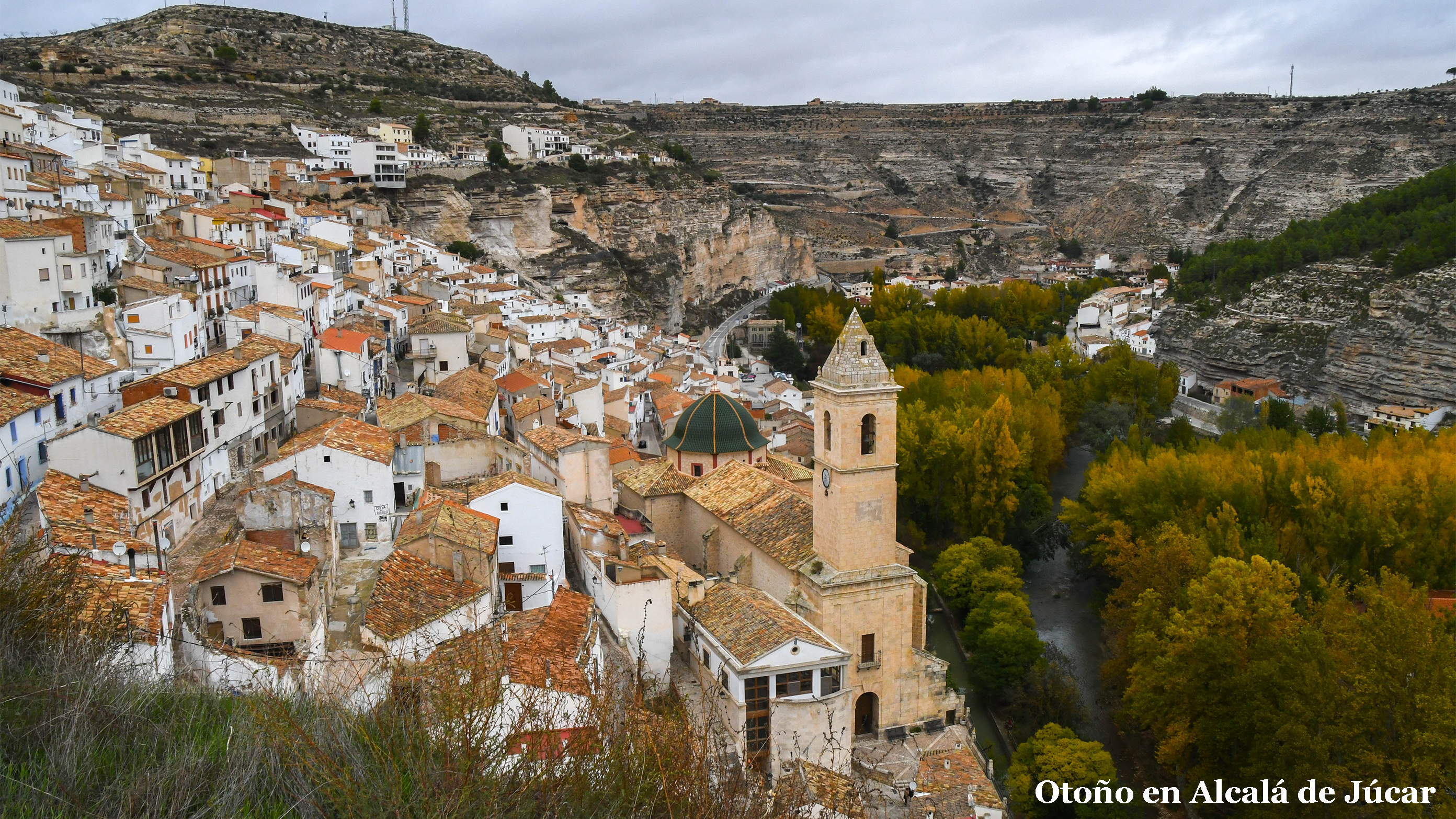 Free Palestina icono
