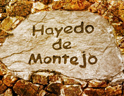 cartelhayedomontejo2