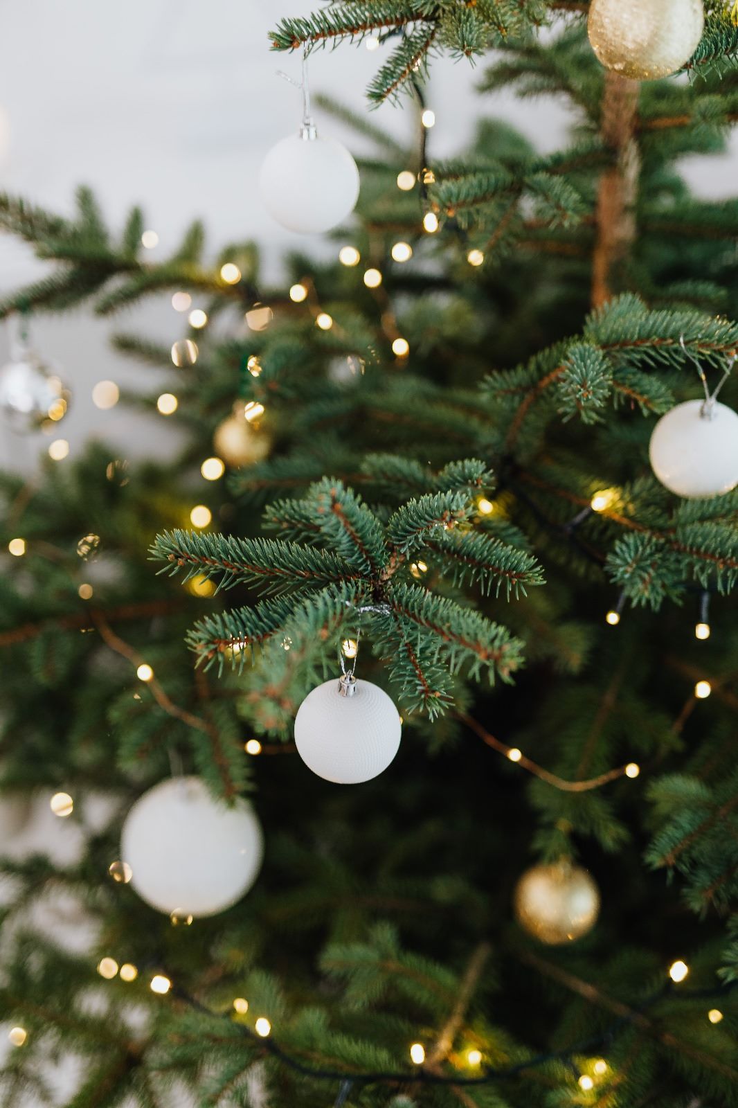 navidad