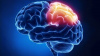 Lesiones adquiridas en el cerebro. Enfermedades neurológicas y conducta