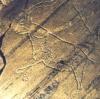 Viaje Cultural: Arribes del Duero y grabados rupestres de Foz Côa