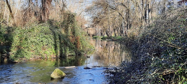 manzanares1_-_copia_-_copia.jpg